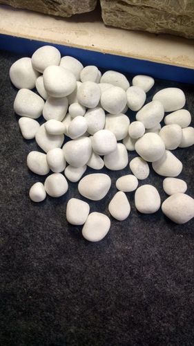 STONE WHITE PEBBLE