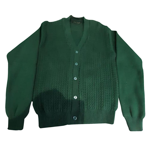 Ladies Green Woolen Skivi