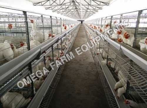 Broiler Breeder Cage