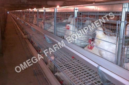 Breeder Battery Cages