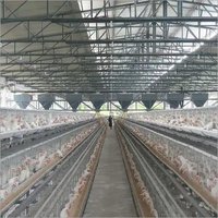 Poultry Cage Equipments