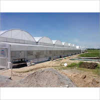 Dome Shaped Transgenic Polyhouse