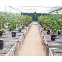 Greenhouse Furnishing Service