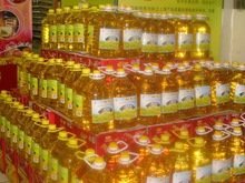 Best 100 Refined Edible Sunflower Oil for Sale