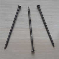 Siding SS Nails