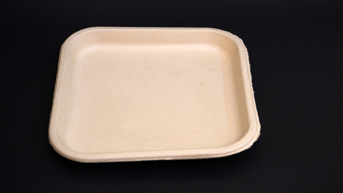 Disposable Baggasse Plate