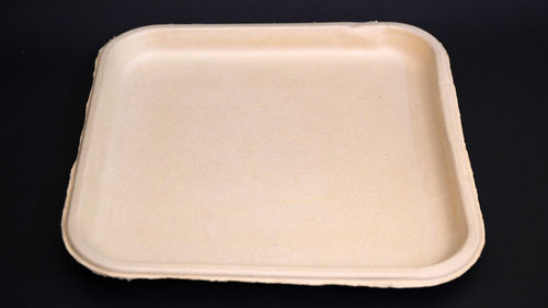 Bagasse Square Plates