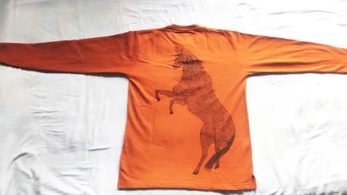 Hand Painted Horse On T Shirt By LOKHIT RANG PEETH SEVA SANSTHAN