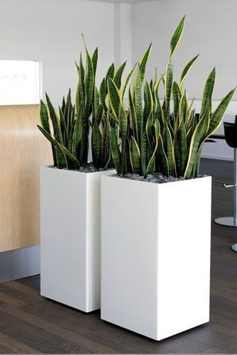 FRF Flower Pot