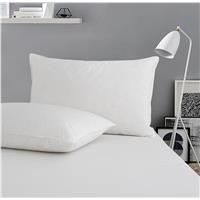 White Feather Pillow