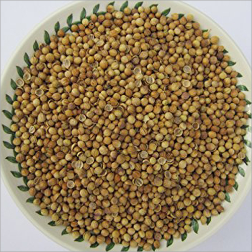 Coriander Seed - Whole Golden-Yellow Aromatic Seeds, Raw Processing, 6-12 Months Shelf Life, Store in Dry Place