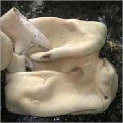 Frozen Buffalo Tripe Meat Shelf Life: 1 Years