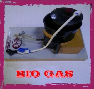Bio Gas plant working model Labcare-Online