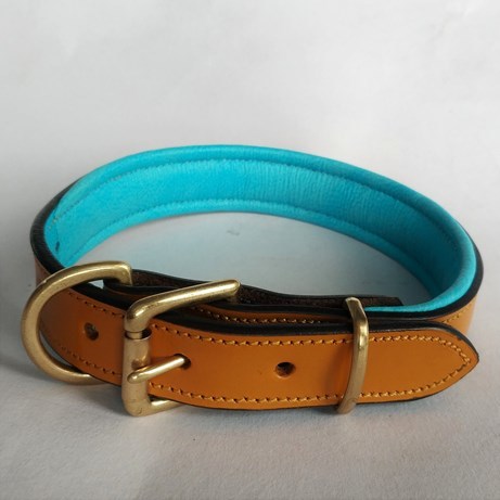 Plain Padded leather Dog and cat collar
