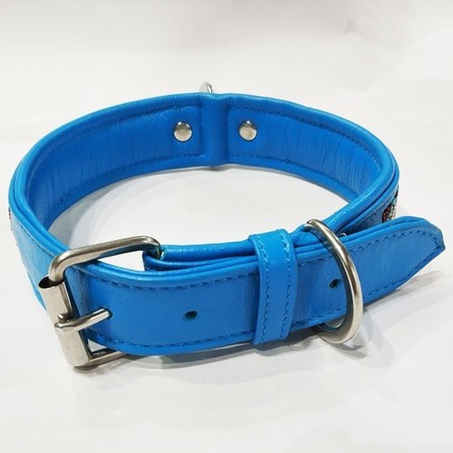Sky Blue Soft Leather Padded Dog Leather