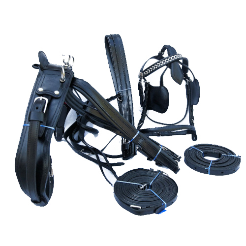 Basic Driving Harness