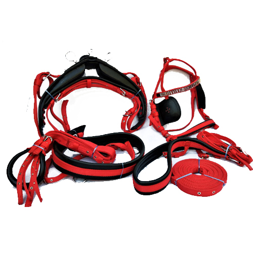 Horse Driving Harness
