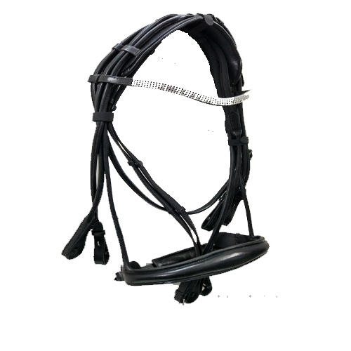 Bridles