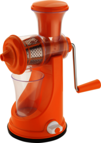 Fruit and Vegetable Juicer Royal
