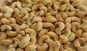 Raw Cashew Nuts Wholesale / Raw Cashew Nuts in Shell / Raw Cashew Nut for Sale