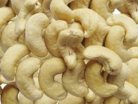 Cashew Nuts/ Cashew Nut Size W180 W240 W320 W450/ Certified WW320 Dried Cashew for Sale