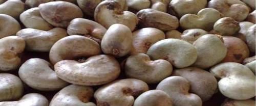 Cashew Nuts W240