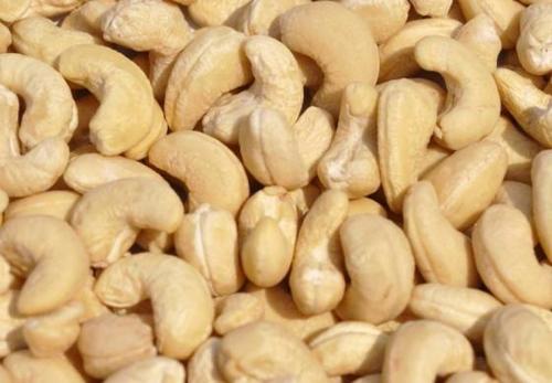 raw cashew kernels