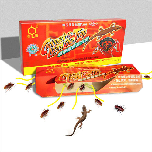 ONS Lizard Trap & Cockroach Trap (Pest Control)