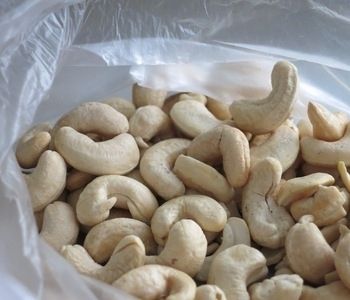 Cashew Nuts for Sell