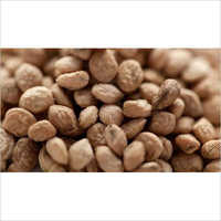 Common Sarpagandha Seed