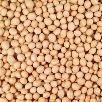 Soybean Seed - 99% Purity, Shelf Life: 1 Year | Common Variety, Rich in Vitamins K1, Folate, Copper, Manganese, Phosphorus, Thiamine