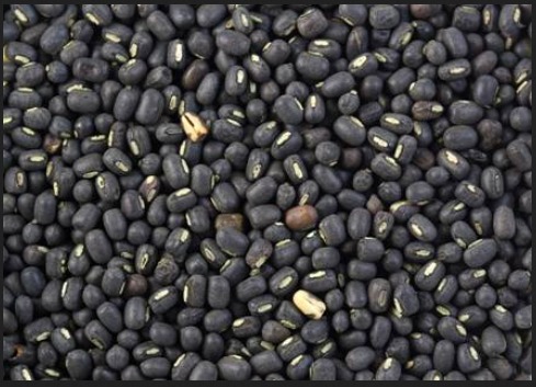 Black Urad Seed - Whole Black Lentils 99% Purity | Rich Source of Calcium Iron and Magnesium for Digestive Health