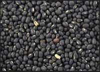 Black Urad Seed - Whole Black Lentils, 99% Purity | Rich Source Of Calcium, Iron, And Magnesium For Digestive Health