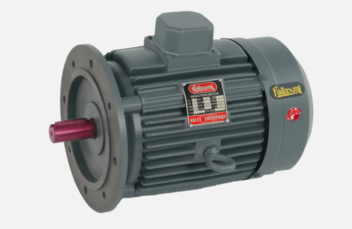 Rajlaxmi Flange Mounted Electric Motors