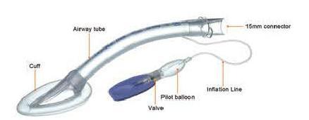 Laryngeal Airway Mask
