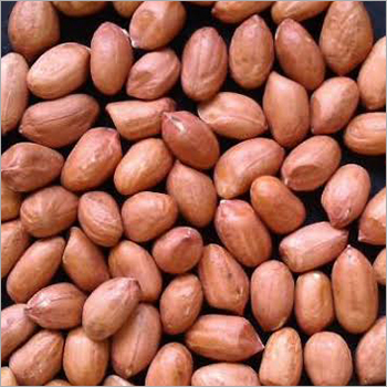 Fresh Peanut - Organic, Natural Flavor | Good Source of Protein & Fiber, Ideal for Snacking, Cooking, and Adding Flavor to Dishes