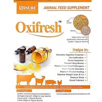 Oxi Fresh Turmeric Powder Yellow Powder (Animal Feed Supplement)