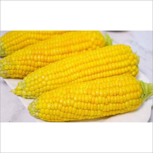 Yellow Corn