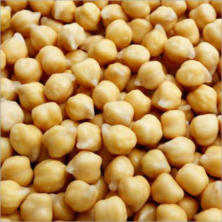 Chickpea