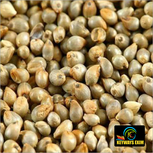Pearl Millet Bajra Admixture (%): 1