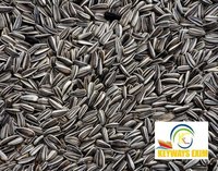 Black &white Bird Food Sunflower Seeds