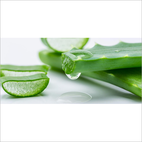 Aloe Vera Liquid Extract - 99% Pure, Mild Smell | Antioxidant & Antibacterial Properties, Suitable for Skin Care and Hair Products