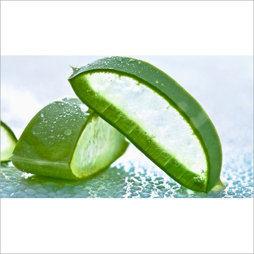 Aloe Vera Pulp - 99% Pure, Mild Smell | Versatile Ingredient for Juices, Shampoos, Creams, Moisturizers, Soaps, and Conditioners
