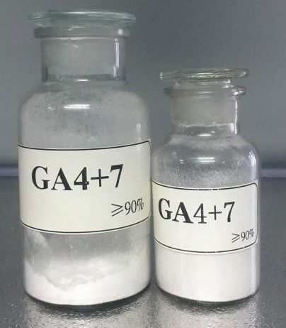 Gibbberellic Acid 4+7 91% TC