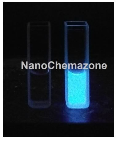 Blue Luminescent Hydrophilic Graphene Quantum Dots (Powder)