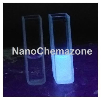 Blue Luminescent Hydrophobic Graphene Quantum Dots (Powder)