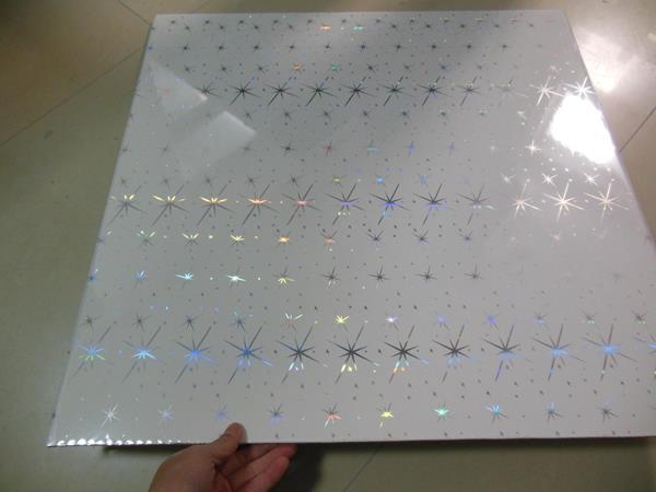 Indoor PVC Ceiling Boards