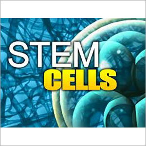 Stem Cell Therapy Stem Cell Therapy
