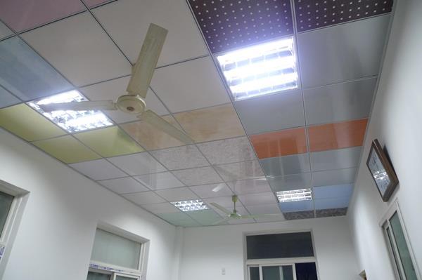Decorative Ceiling Boards