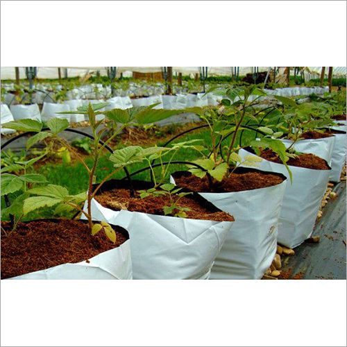 High quality coir grow bags allow for flexibility and re-use - Hortimedia